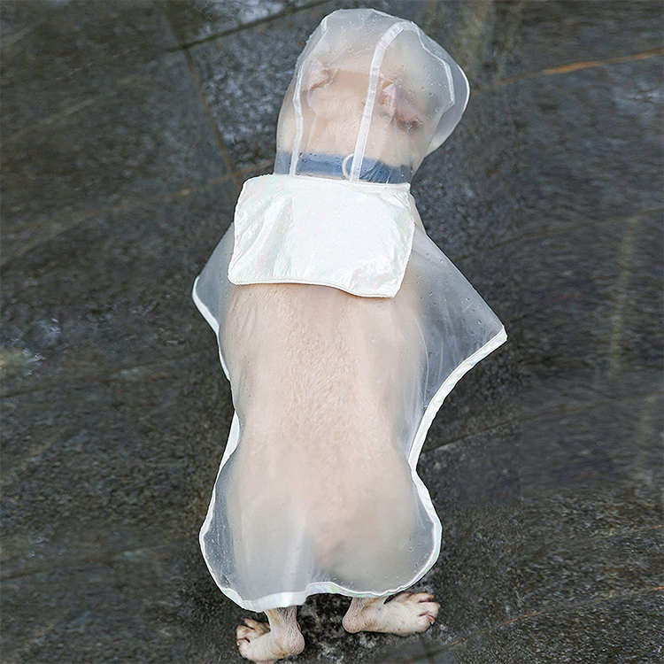 Chubasquero para perros, chaqueta impermeable transparente, ropa impermeable de plástico para cachorros, GRDAR-5