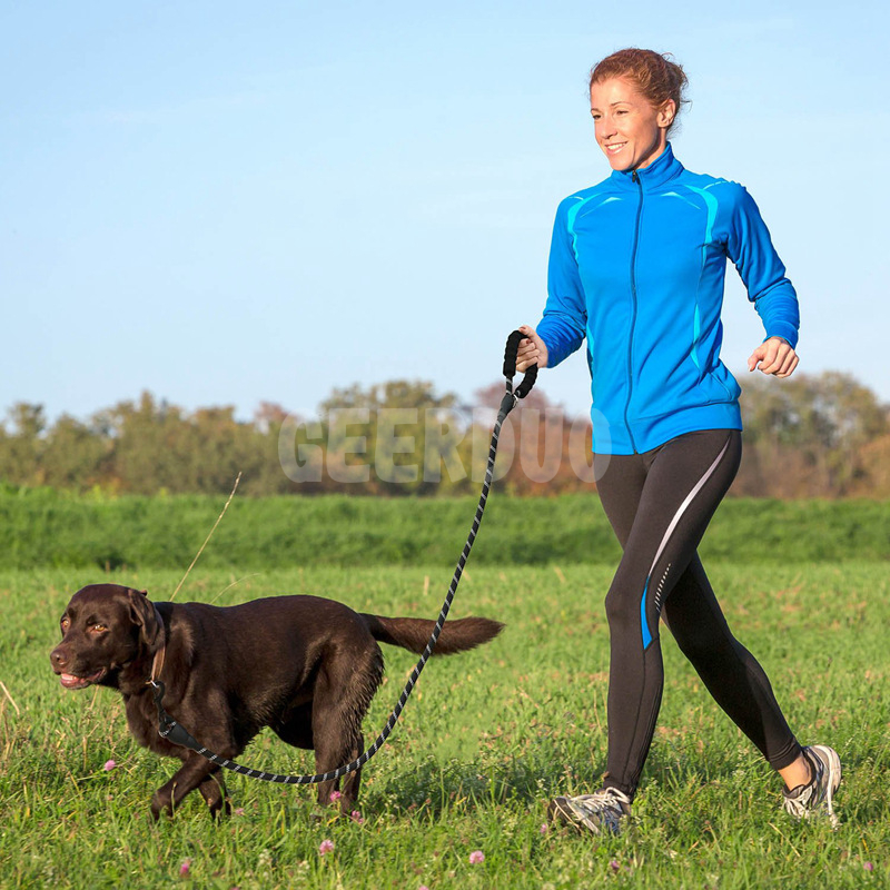 Cuerda de correa antideslizante para perros de entrenamiento reflectante fuerte GRDHL-6
