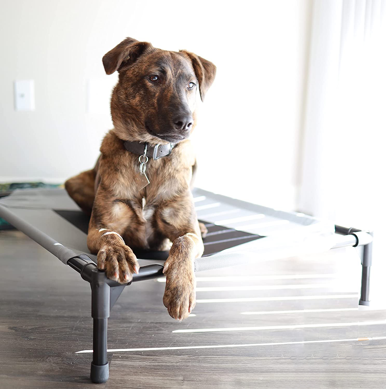 Cama elevada para mascotas DE-4 (11)