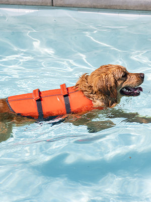 Chaleco salvavidas para perros con asa de rescate para natación y bote GRDAJ-2