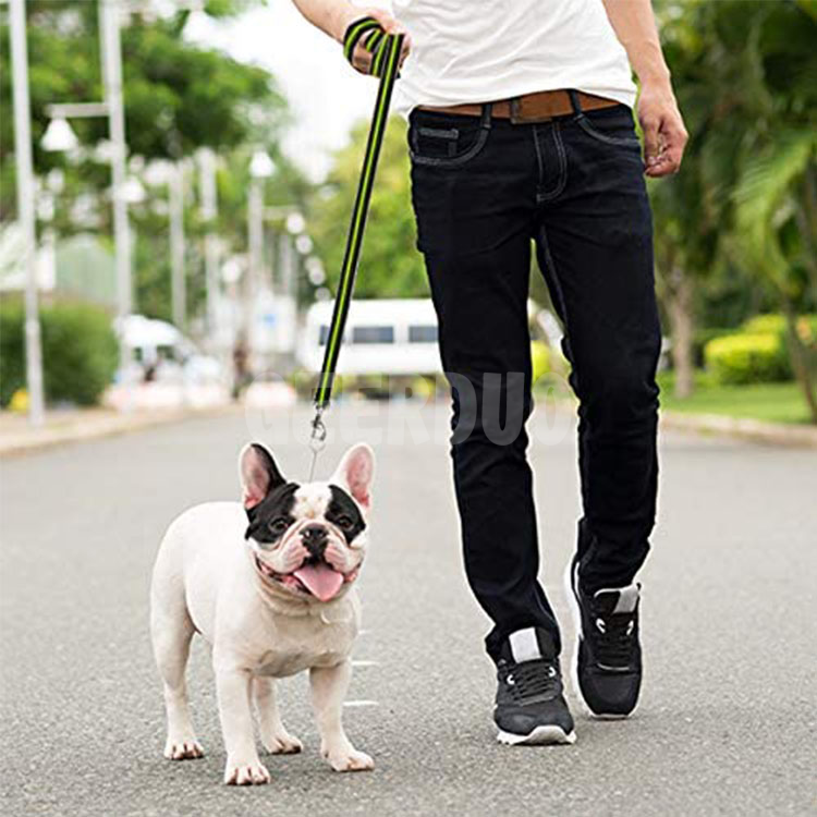 Cuerda reflectante Collar para caminar para perros Correa GRDHL-9