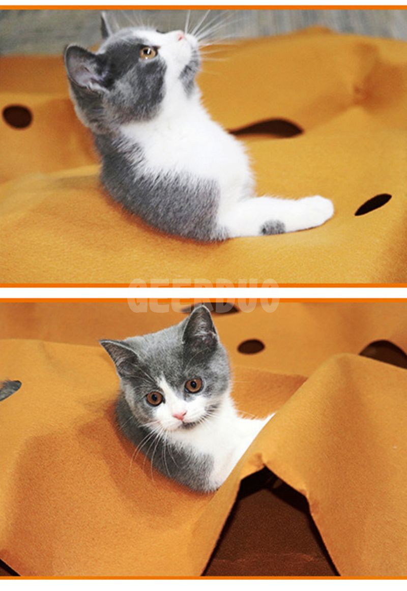 juguetes de túnel para gatos (3)