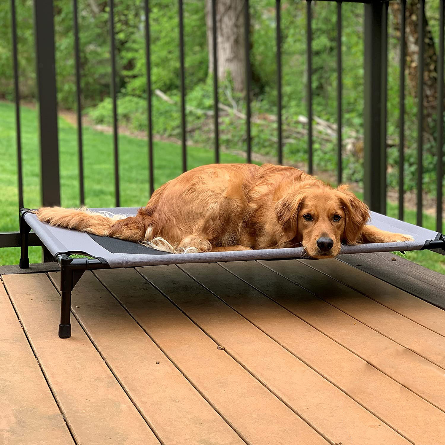 Cama elevada para mascotas DE-4 (9)