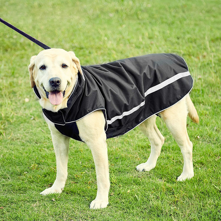 Chaleco reflectante, resistente al agua y resistente al clima para perros, GRDAC-4