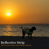 Chaleco salvavidas reflectante y ajustable para perros con asa de rescate para nadar y navegar GRDAJ-7