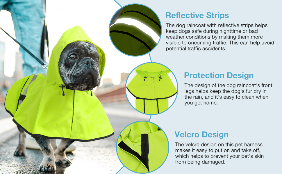 Perro impermeable (3)