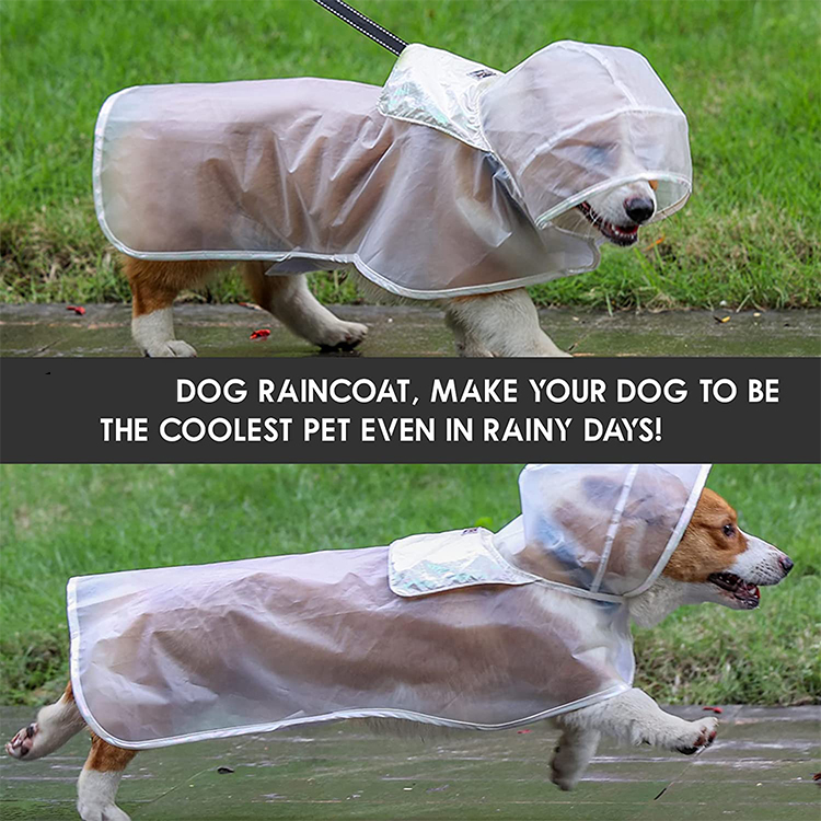 Chubasquero para perros, chaqueta impermeable transparente, ropa impermeable de plástico para cachorros, GRDAR-5