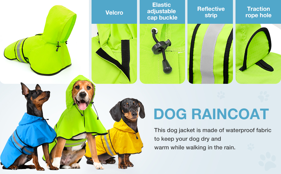 Perro impermeable (4)