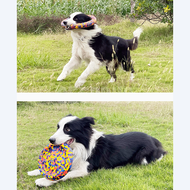 Perro Frisbee Juguetes interactivos para perros GRDTD-7