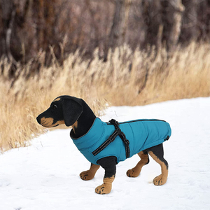 Chaqueta de invierno para perros impermeable con cinturón de tracción de arnés, GRDAC-3