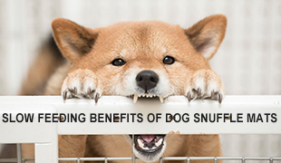 Beneficios de la alimentación lenta de las alfombrillas para perros