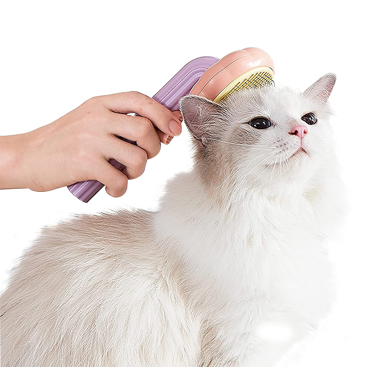 cepillo para gatos (10)