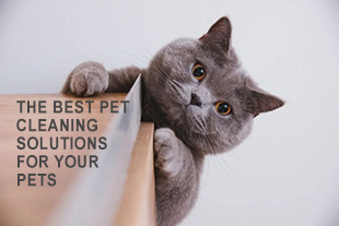 Las mejores soluciones de limpieza de mascotas para sus mascotas