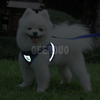 Juego de arnés y correa para mascotas con cinturón transpirable reflectante para caminar diariamente GRDHH-2